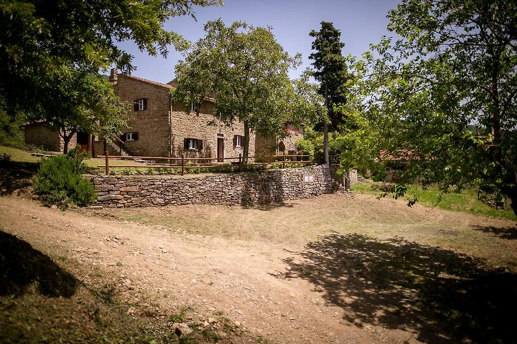 Borgo Al Teto La Vite Apartment Castiglion Fiorentino