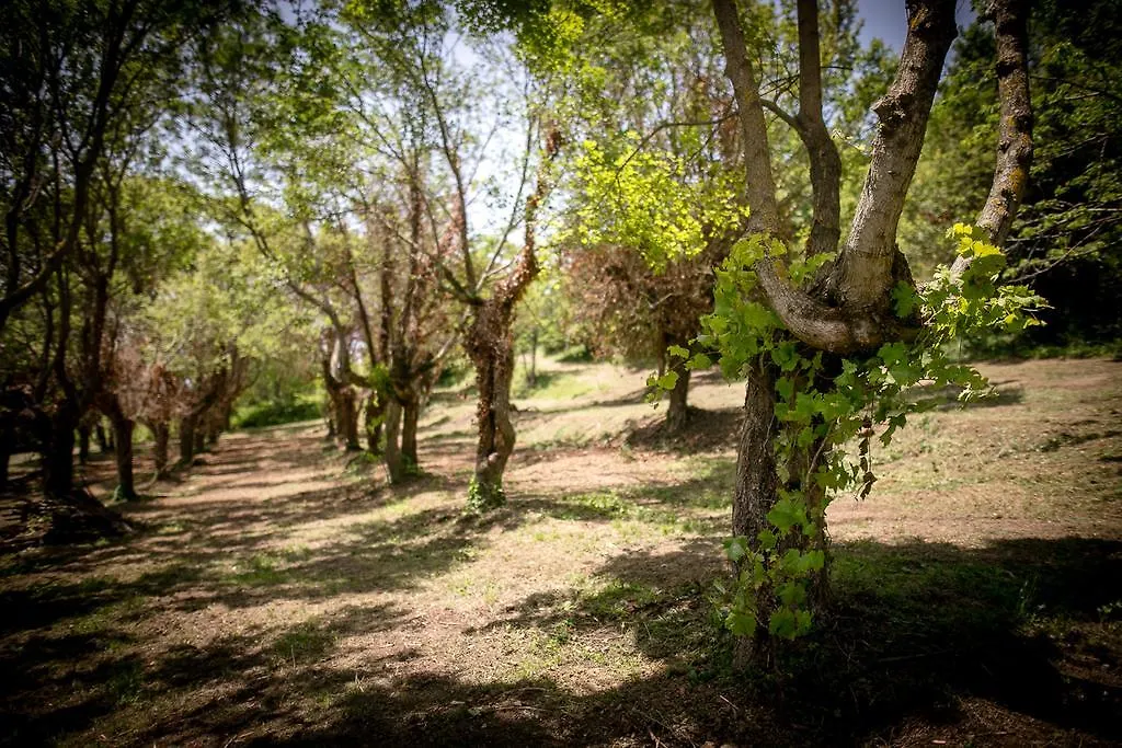 Borgo Al Teto La Vite Apartment Castiglion Fiorentino Italy